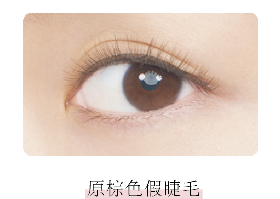 .01 ORIGINAL BROWN EYELASH