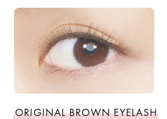 ORIGINAL BROWN EYELASH