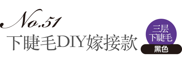 NO.51 下睫毛DIY嫁接款